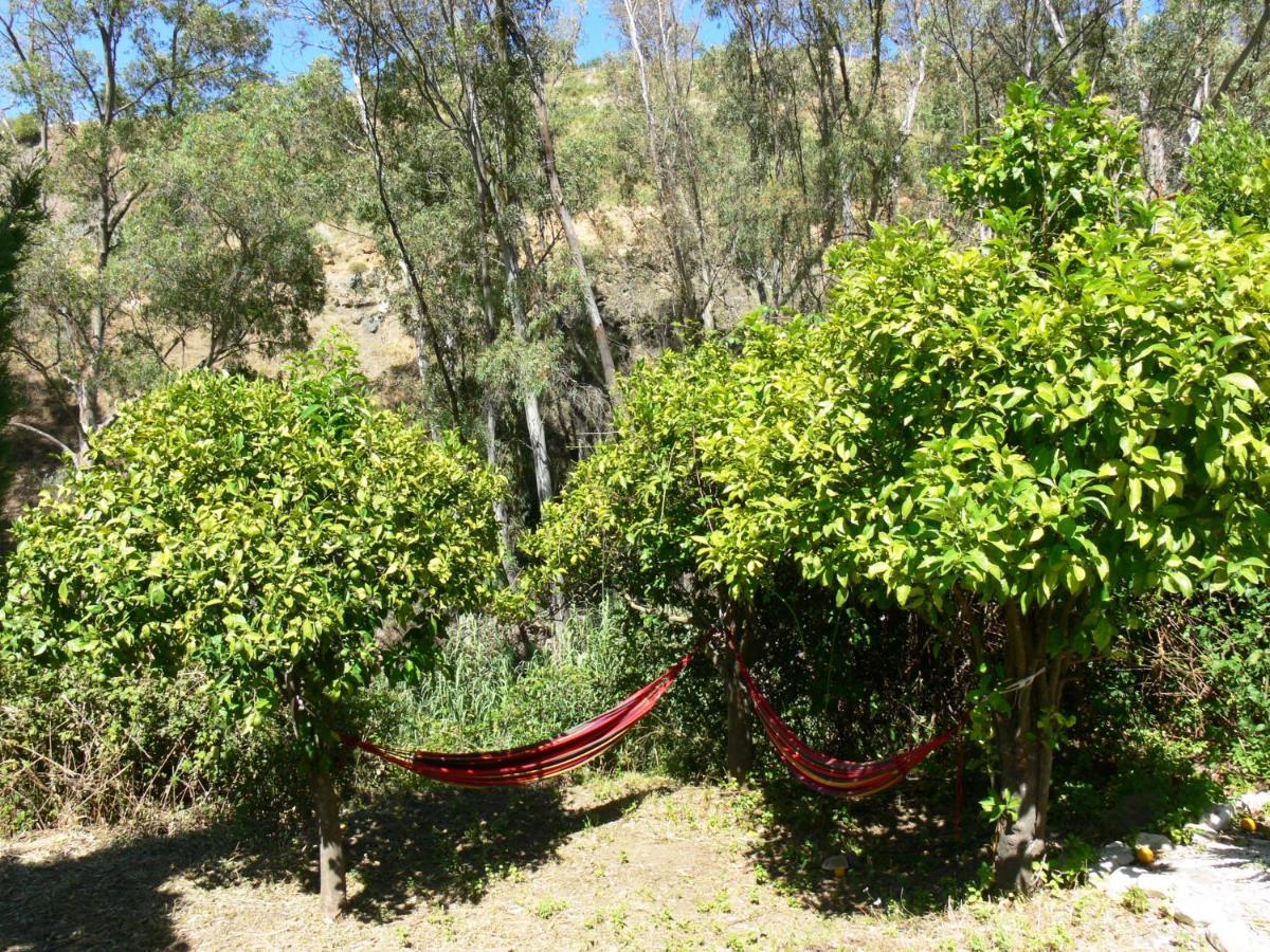 Vegan Guesthouse Finca Pereila Coin Luaran gambar
