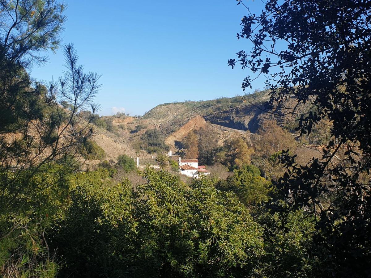 Vegan Guesthouse Finca Pereila Coin Luaran gambar