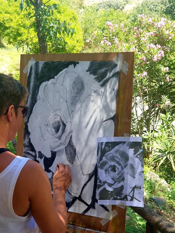 Vegan Guesthouse Finca Pereila Coin Luaran gambar
